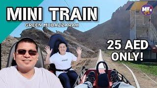 MINI TRAIN | GREEN MUBAZZARAH  AL AIN | ALSO FEATURED CALESA , CAMEL  AND HORSEBACK RIDING | MEI YT