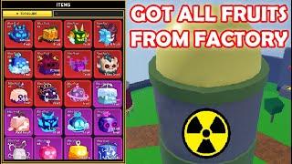 Blox Fruits I DID IT! Getting Every Fruit only from Factory, in one video!