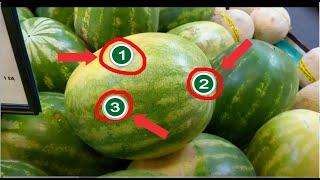 How to pick a sweet and juicy watermelon | 3 things to look for | How to cut watermelon into cubes