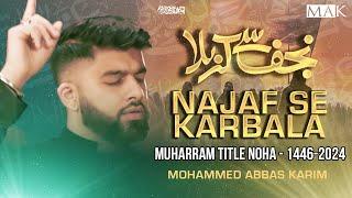 Arbaeen Noha 2024 | NAJAF SE KARBALA | Arbaeen Walk | Mohammed Abbas Karim| Muharram Nohay 2024/1446