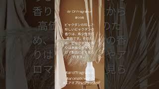 サンダルウッドについて③　サンダルウッドの値段、使われ方　 #airoffragrance　#sandalwood #白檀