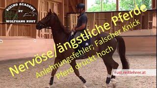 F29 Nervöse, ängstliche Pferde mit falschen Knick und Anlehnungsproblemen reiten lernen.