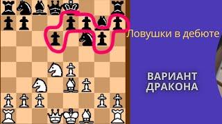 Ловушки в дебюте -  вариант дракона.  Теория до 25 хода