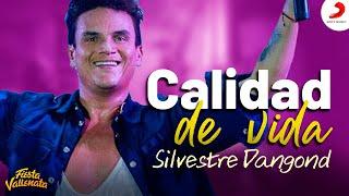 Calidad de Vida, Silvestre Dangond - Letra Oficial