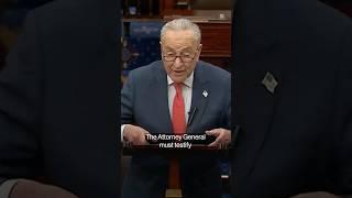 Schumer to Slow Trump DOJ Nominees Over Qatari Jet