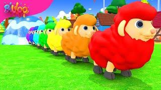 Baa Baa Black Sheep Song | Colorful Sheep | BluLoo Nursery Rhymes & Kids Songs