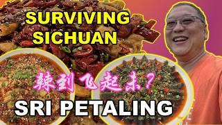 Authentic Sichuan Food In Kuala Lumpur | 吉隆坡正宗的四川菜 | 辣到飞起未? | RESTORAN XIANG CHU 湘厨 | SRI PETALING