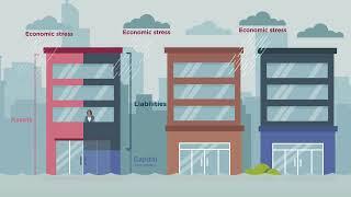 What is capital adequacy?