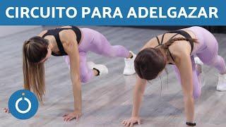 Ejercicios QUEMAGRASAS  (Abdomen y CORE)  Clase COMPLETA