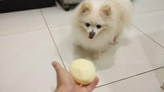 making mashed potato with cumlord