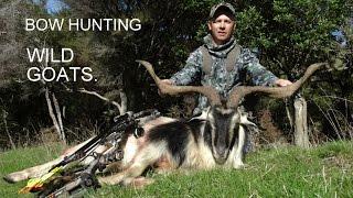 Bow Hunting New Zealand Wild Goats. Featuring 2014 Mathews Chill R