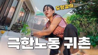 도시생활보다 더 빡센 초보 귀촌러의 우당탕탕 집꾸미기...