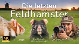 The Last Common Hamster | A threatend species | Wildlife Documentary (2025) | German w/ ENG SUB