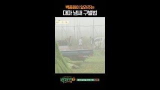 이 냄새 나면 신고해 #백패커2