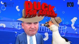 Duck for cover! | Media Bites