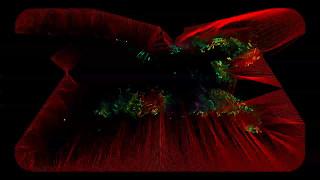 Nikolay Popov - "Espace a la S" for violin, electronics and video