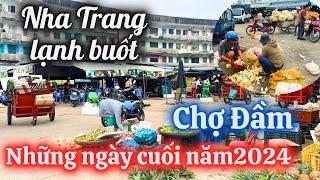 Khám Phá Nha Trang Lạnh Buốt Và Chợ Đầm Sôi Động Dịp Cuối Năm 2024