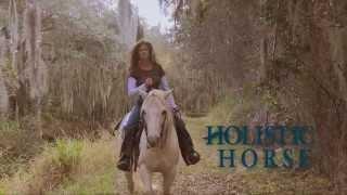 Look inside Holistic Horse.. our video commercial