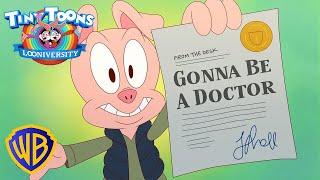 Doctor Hamton J. Pig 🩺 | Tiny Toons Looniversity | @WBKidsLatino​