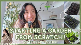  Let's Start a Garden! (I know nothing lol)  1 month of Seed Growth! 