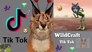 Someone stole my video?! Reacting to Wildcraft Tik Toks~kinda funny