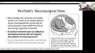 Alex Petrov / Cognitive Science in the Age of AGI - L3 / 30th Summer School in Cognitive Science