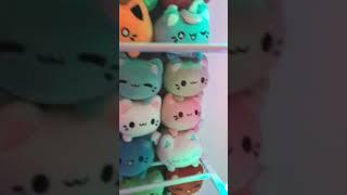 Meowchi Collection!! #meowchi #plushcollection #plushcollector