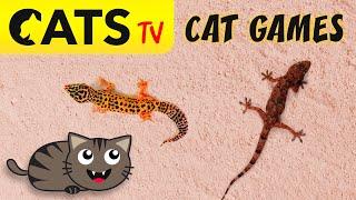 CATS TV - Realistic Lizards  3D Game for cats & dogs  [4K]