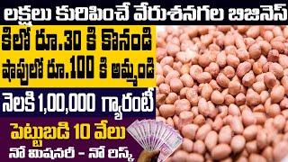 How To Start Peanut Business | New Business Ideas 2021 | Money Factory