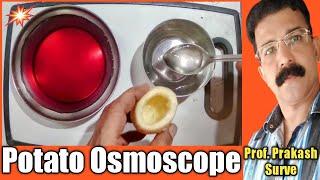 CLASS-12 / Potato Osmoscope (Practical-1) Everyone can do at home - By Prof.Prakash Surve(Moderator)