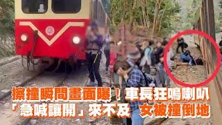 阿里山林鐵列車長鳴笛喊靠邊　女遊客遭撞倒地...瞬間畫面曝