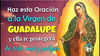 HAZ ESTA ORACIÓN A LA VIRGEN DE GUADALUPE Y ELLA TE PROTEGERÁ DE TODO MAL Y PELIGRO