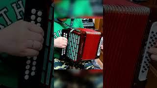 Редкая немецкая гармонь Hohner club тест звучания после замены и настройки голосов Деревенька МОЯ