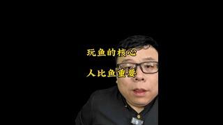 人比鱼重要，玩鱼核心。 #水族 #观赏鱼 #飞哥说水族