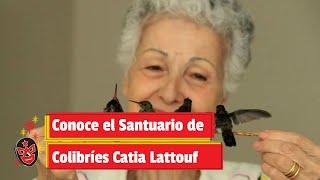 Conoce el Santuario de Colibríes Catia Lattouf