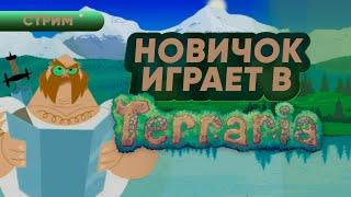 Стрим | Новичок в Terraria (пытаюсь вдуплить, ибо все забыл и ничего не знаю)