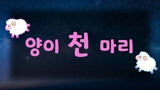양천마리 양이천마리 양세기 양이한마리 보나랑코잠