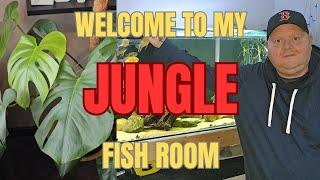 Welcome To My Jungle | Fish Rooms and Houseplants | Do They Go Together?