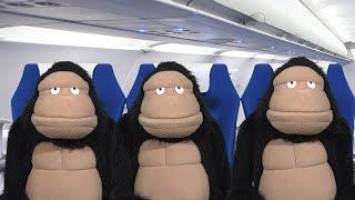 Airplane Etiquette