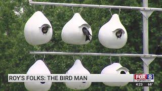 Midway man turns backyard into Purple Martin paradise