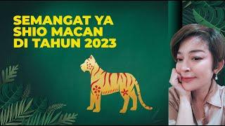 Shio Macan Berpotensi Besar Sukses Ditahun ini? | Peruntungan Shio Macan 2023