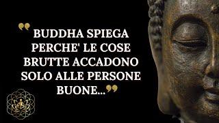 BUDDHA SPIEGA PERCHE' LE COSE BRUTTE ACCADONO SOLO ALLE PERSONE BUONE