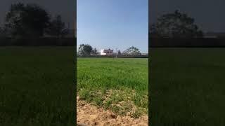 Farm  #farm #khet #trending #kothi