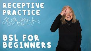 BSL for Beginners: Receptive Practice (Level 1)