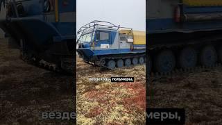 Обзор самого проходимого автомобиля  на севере - Четра ТМ-140, уже на ПриветТачка #shotrs #short