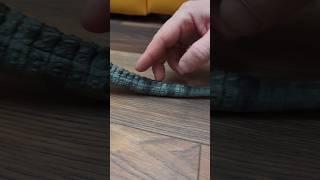 Which dino?|Что за динозавр? #dinosaur #динозавр #shorts #toys #mattel #jurassicworld #hammond