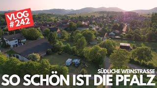 #242 - Wunderschöne Pfalz - Südliche Weinstraße - Wohnmobiltour