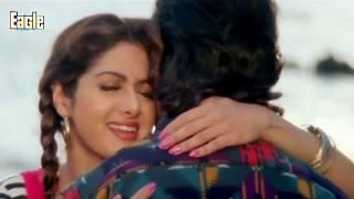 Jaanam Meri Jaanam (Eagle Jhankar) Udit Narayan Alka Yagnik {Mr.Bechara}