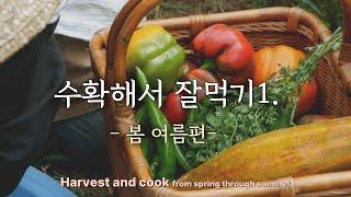 Harvest and Cook / From Spring to Summer / Korean Garden Cuisine