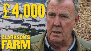 Jeremy Clarkson Loses £4,000 of Crops To Insects and Flooding | Clarkson's Farm